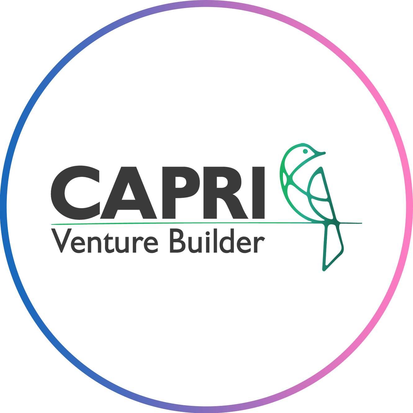 botom capri Venture builder