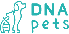 Ilustração DNA Pets